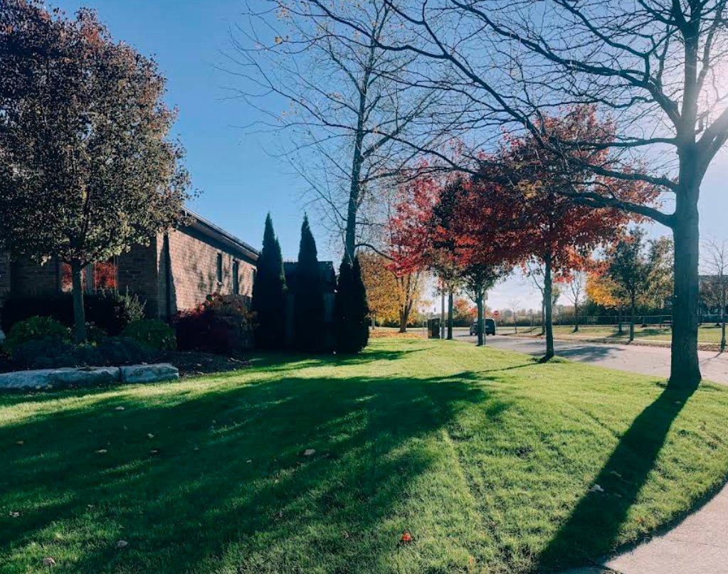 A Cut Above landscaping work