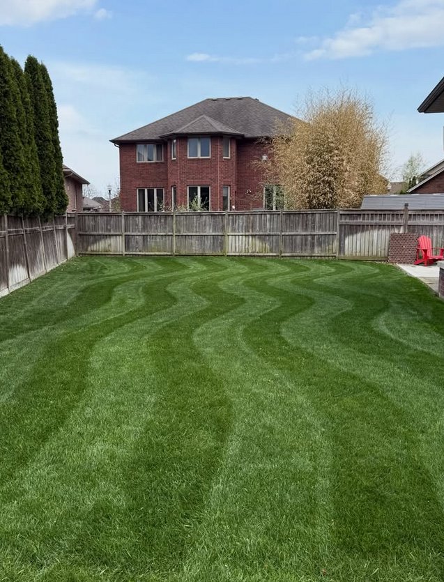 A Cut Above landscaping work